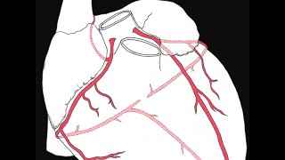 The Circulatory System Part 2 Blood Vessels [upl. by Airasor]