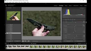 Apply Preset to Multiple Images in Adobe Lightroom Classic  Short GuideTutorial HowTo [upl. by Nyledam]